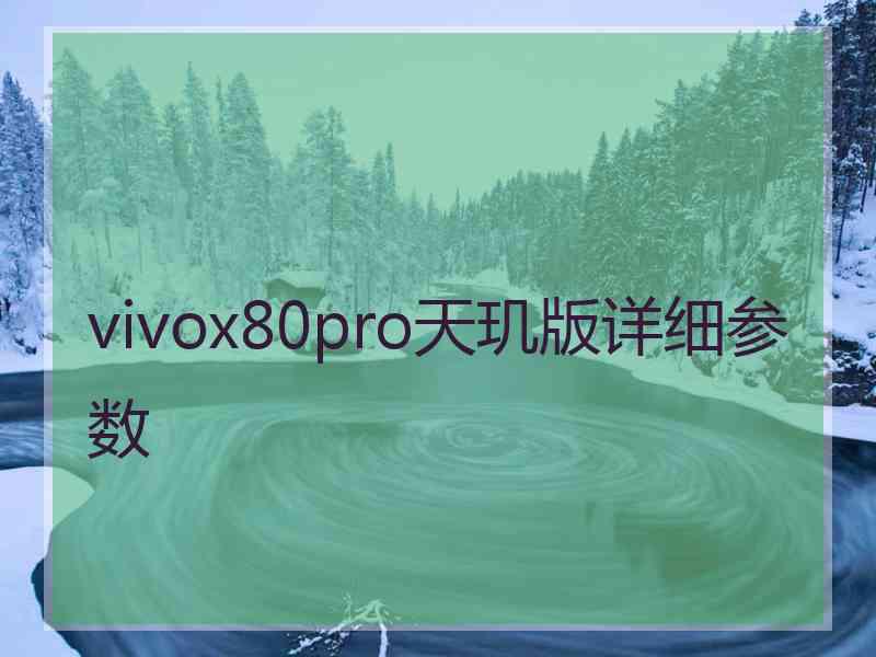 vivox80pro天玑版详细参数