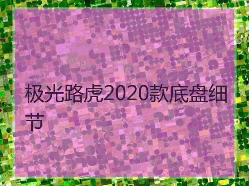 极光路虎2020款底盘细节