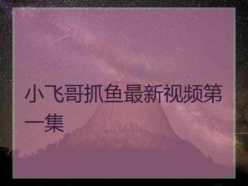 小飞哥抓鱼最新视频第一集