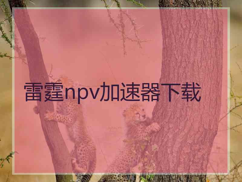 雷霆npv加速器下载