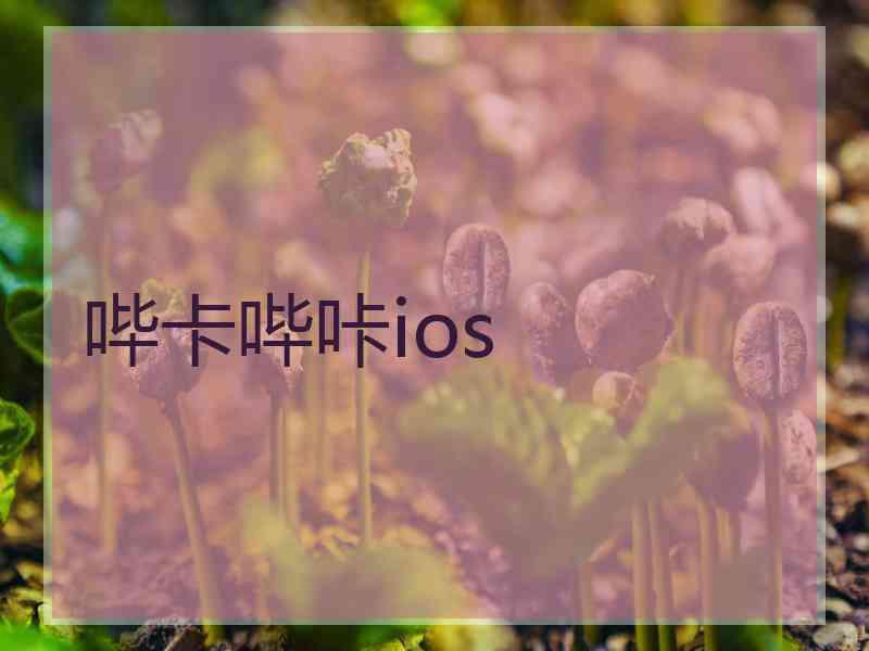 哔卡哔咔ios