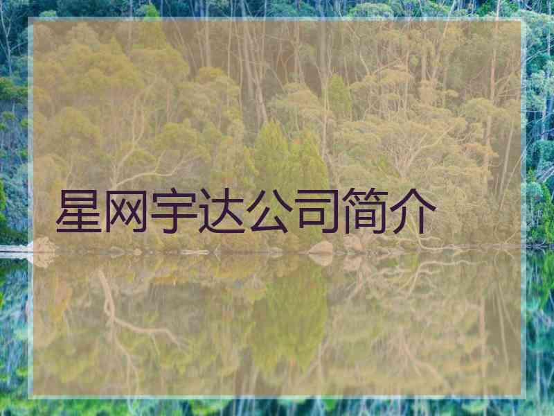 星网宇达公司简介