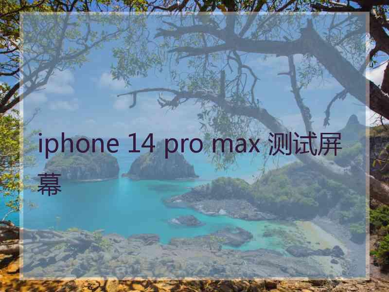 iphone 14 pro max 测试屏幕