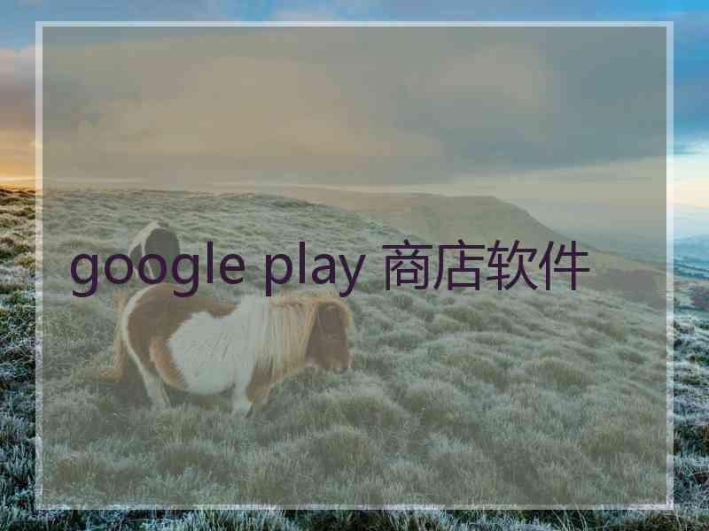 google play 商店软件