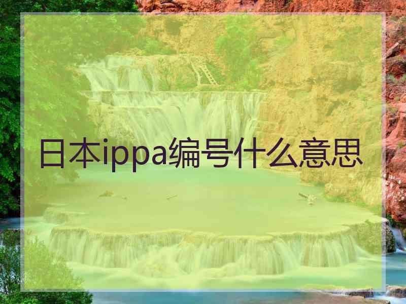 日本ippa编号什么意思