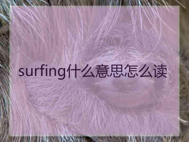 surfing什么意思怎么读