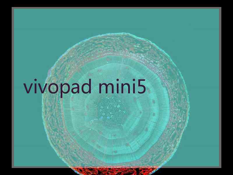 vivopad mini5