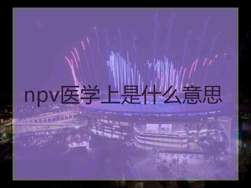 npv医学上是什么意思