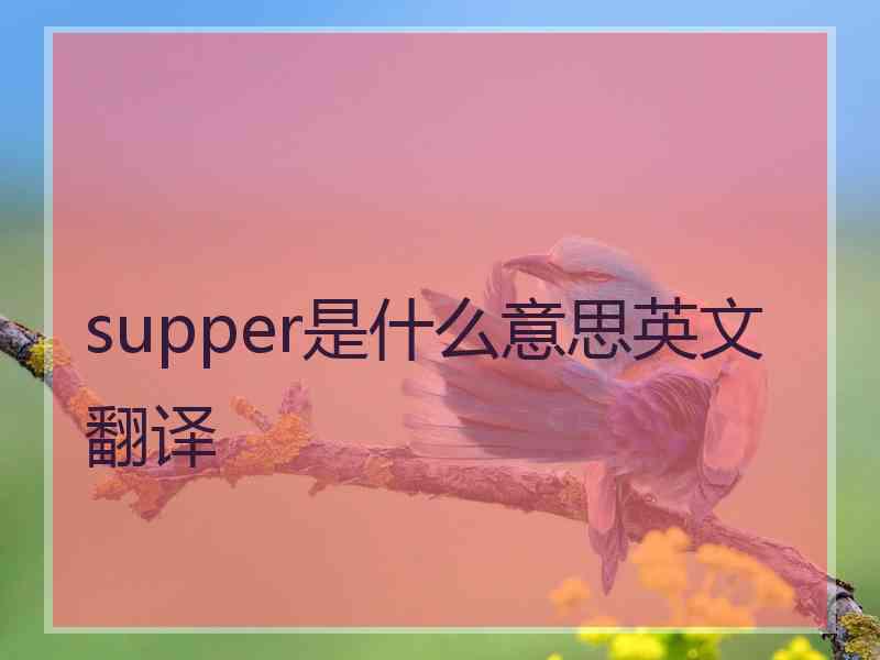 supper是什么意思英文翻译