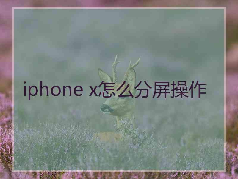 iphone x怎么分屏操作