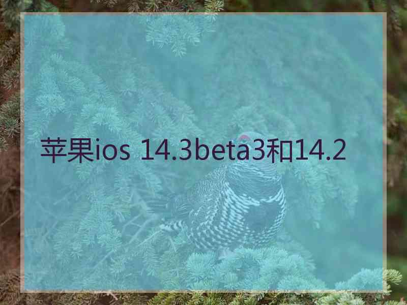 苹果ios 14.3beta3和14.2