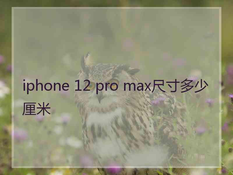 iphone 12 pro max尺寸多少厘米