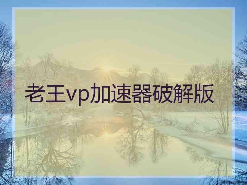 老王vp加速器破解版