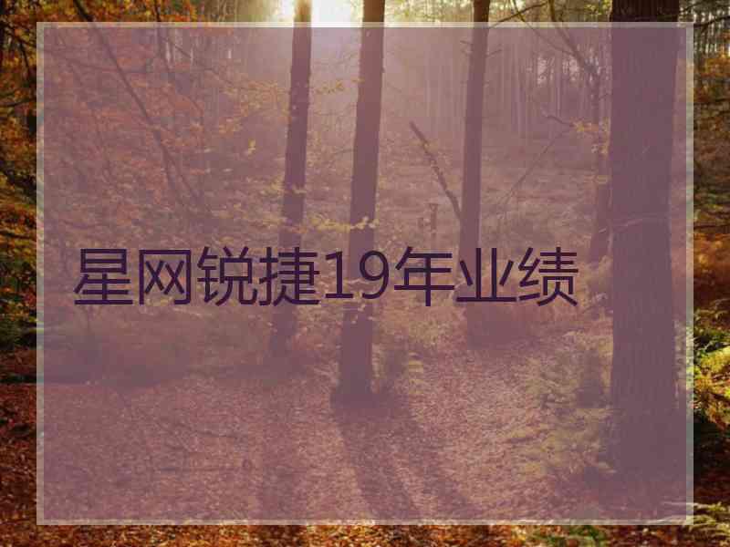 星网锐捷19年业绩