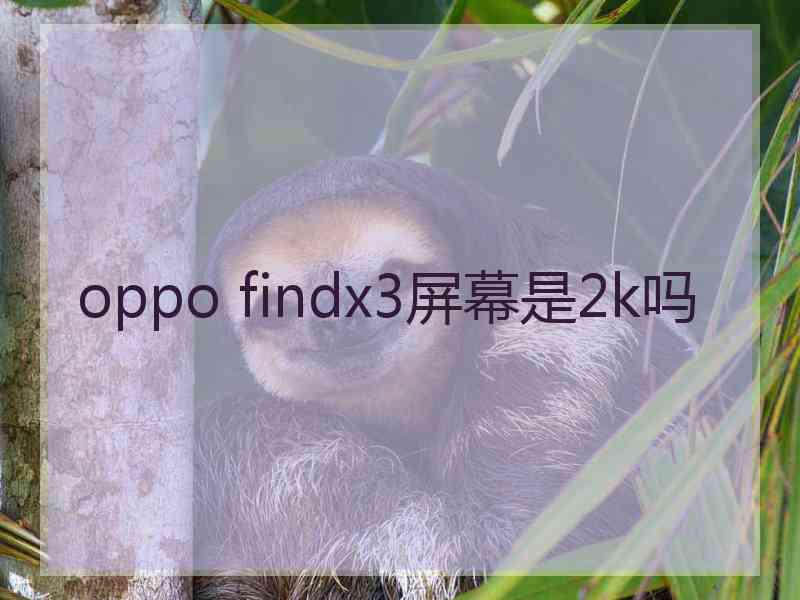 oppo findx3屏幕是2k吗